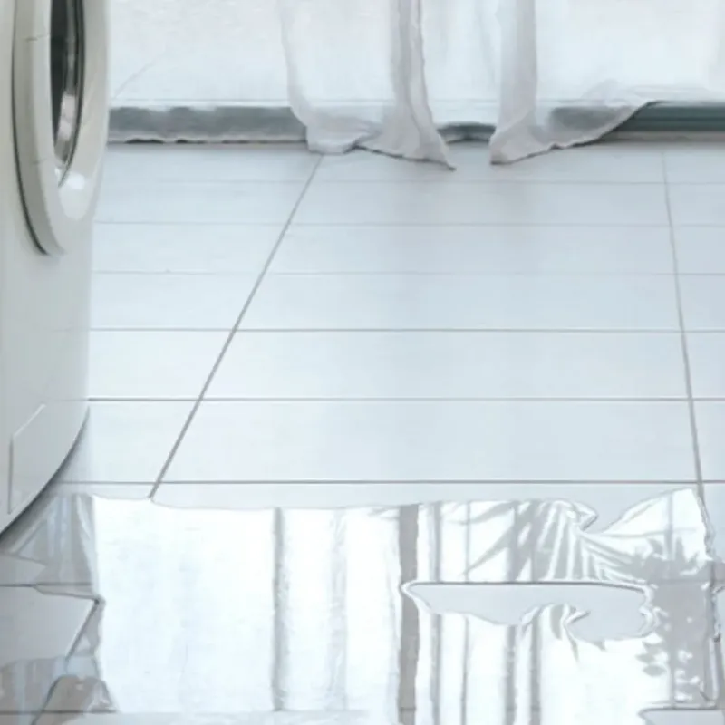 Appliance Leak Cleanup in Monroe County, IN