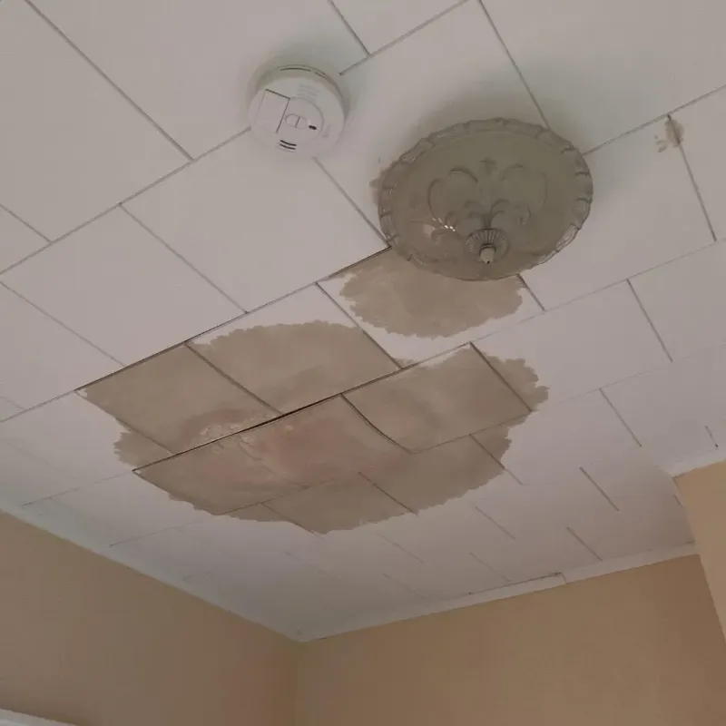 Ceiling Water Damage Repair in Monroe County, IN