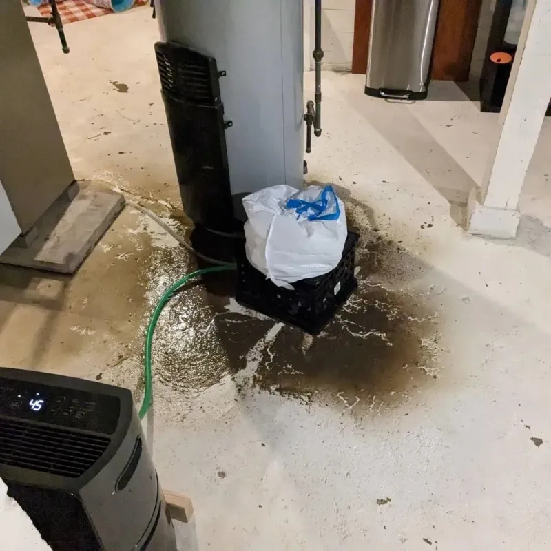 Sewage Backup Cleanup Service in Monroe County, IN